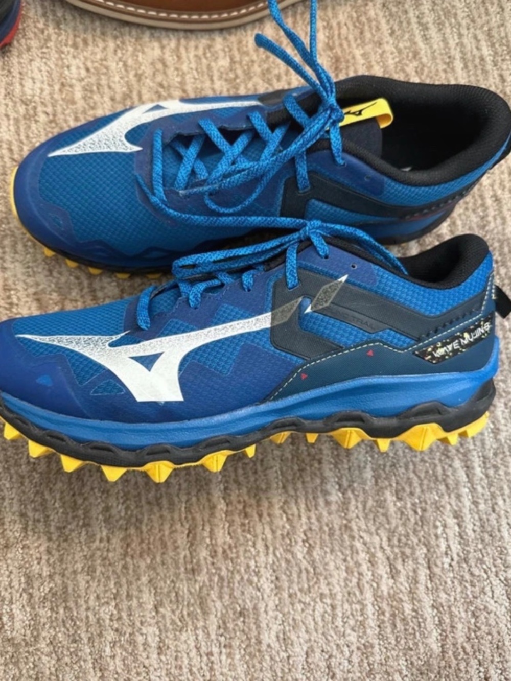 Men’s Mizuno Wave Mujin 9